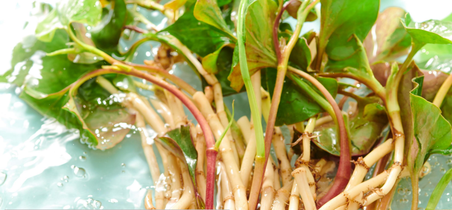 1749003419189516.png 1749003419189516.png